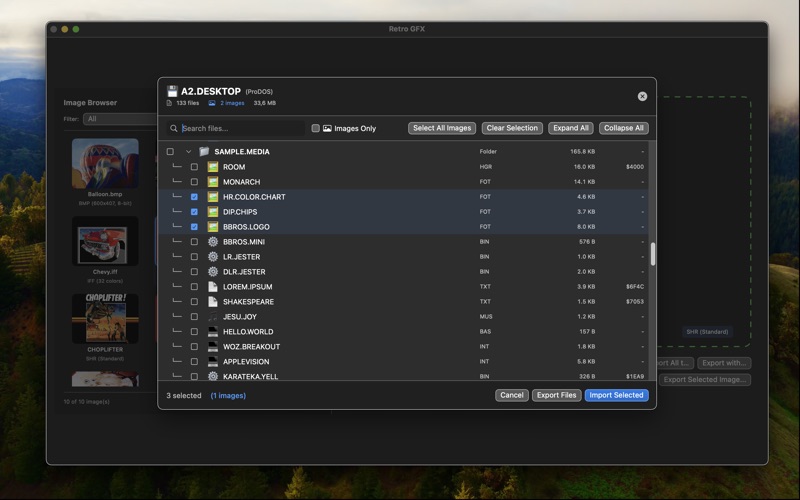 App screenshot