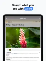 Google Chrome 2