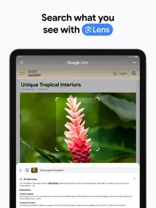 Google Chrome 2