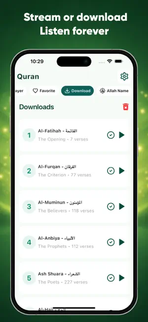 Quran sharif audio - offline screenshot 3