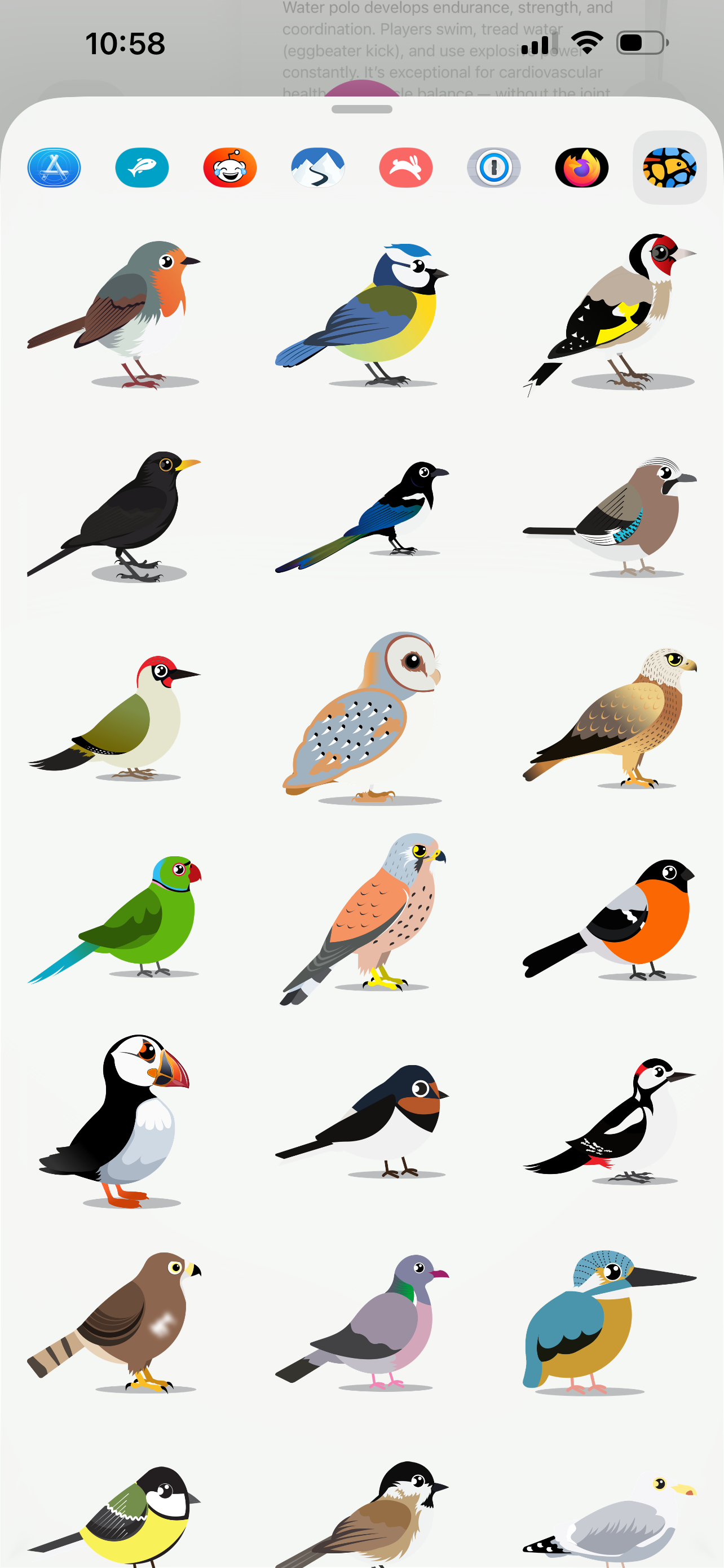 Identify Birds – Smart Bird ID