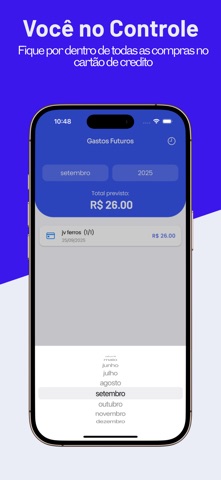 Organizai Controle Financeiro screenshot