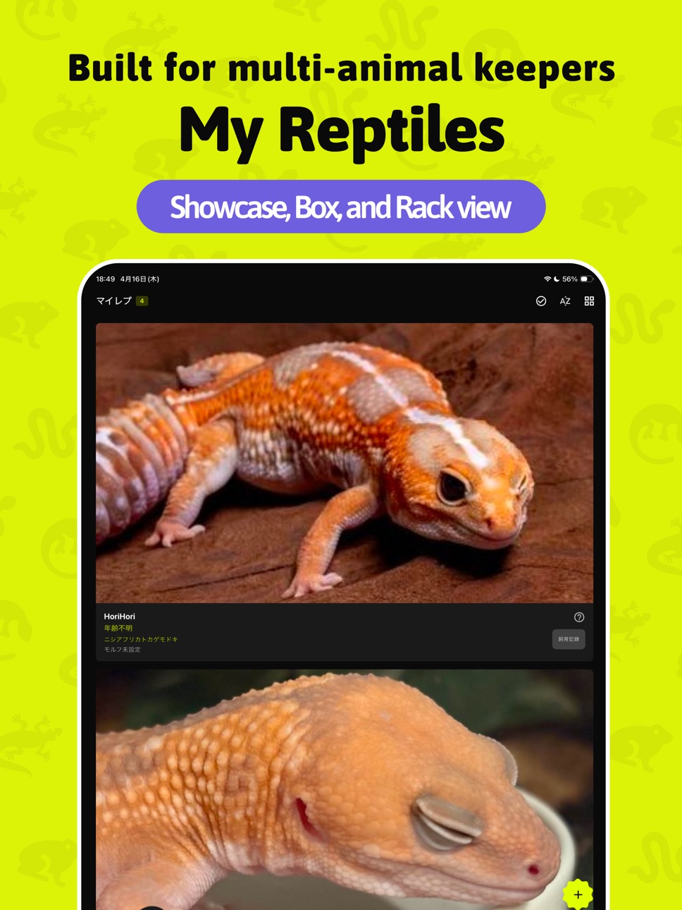 iPad screenshot