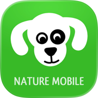 iKnow Dogs: Identifica razas