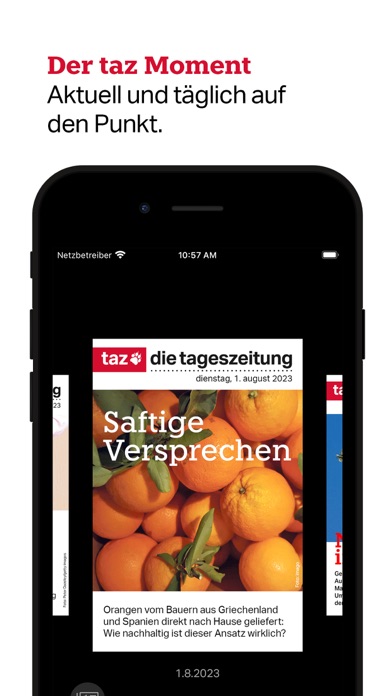 taz, die tageszeitung Screenshot