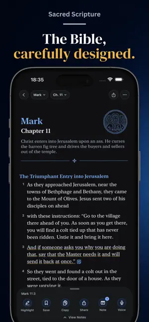 Ambo: Catholic Prayer & Bible screenshot 4