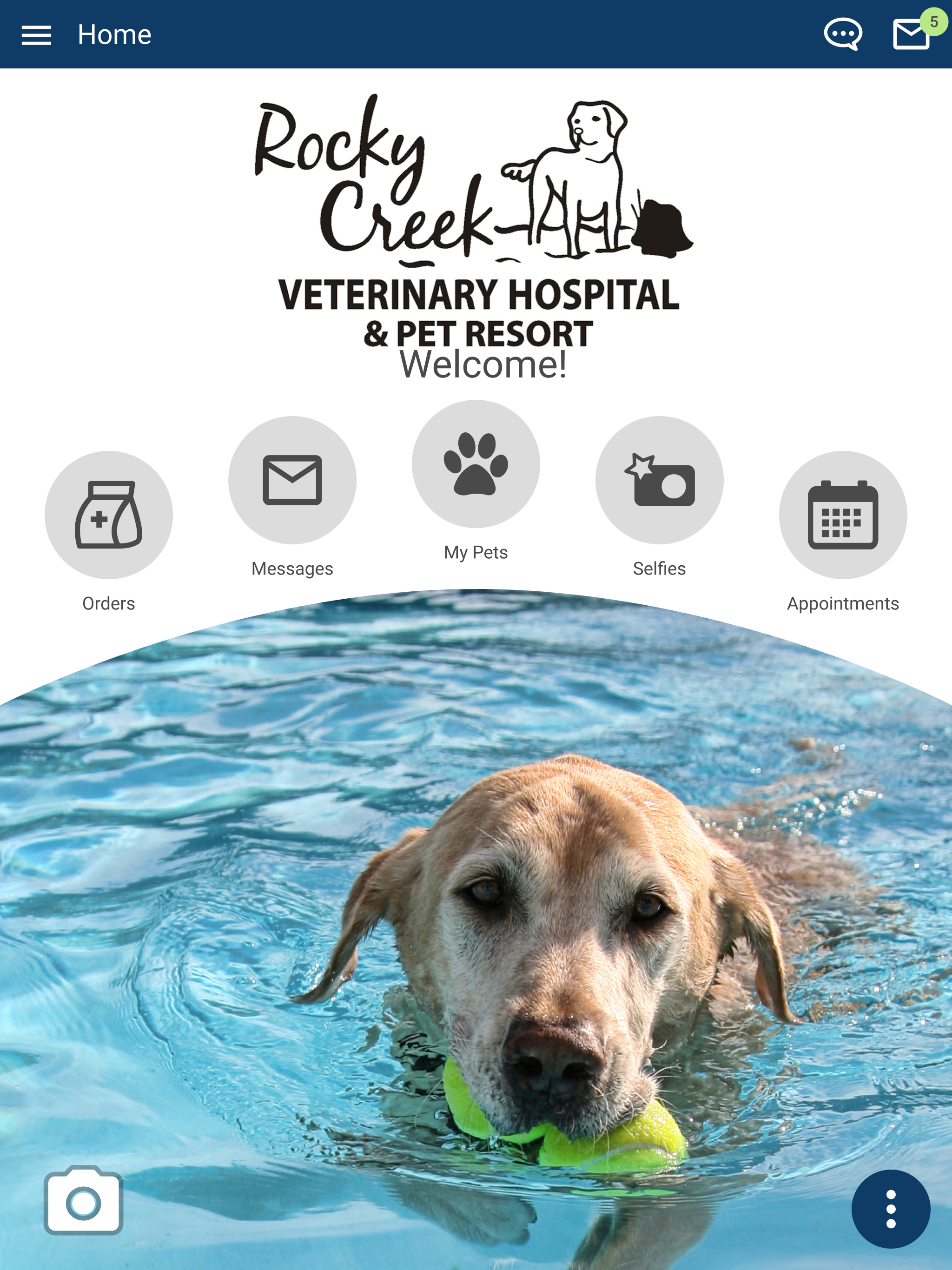 RCVH Vet screenshot 6