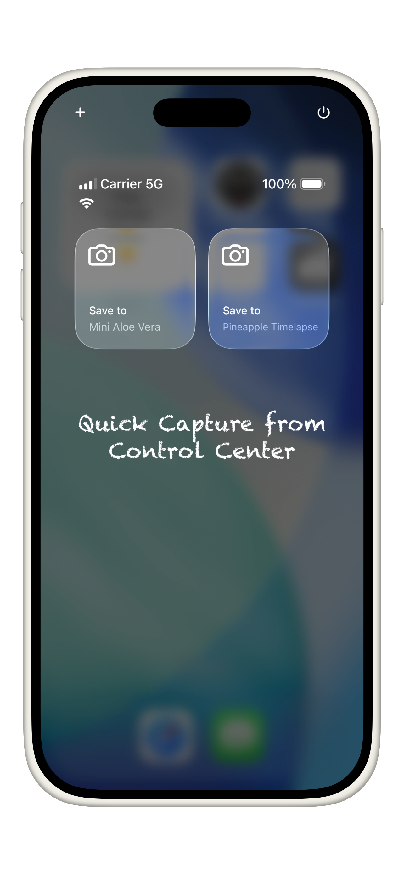 AutoAlbum: snap to your albums