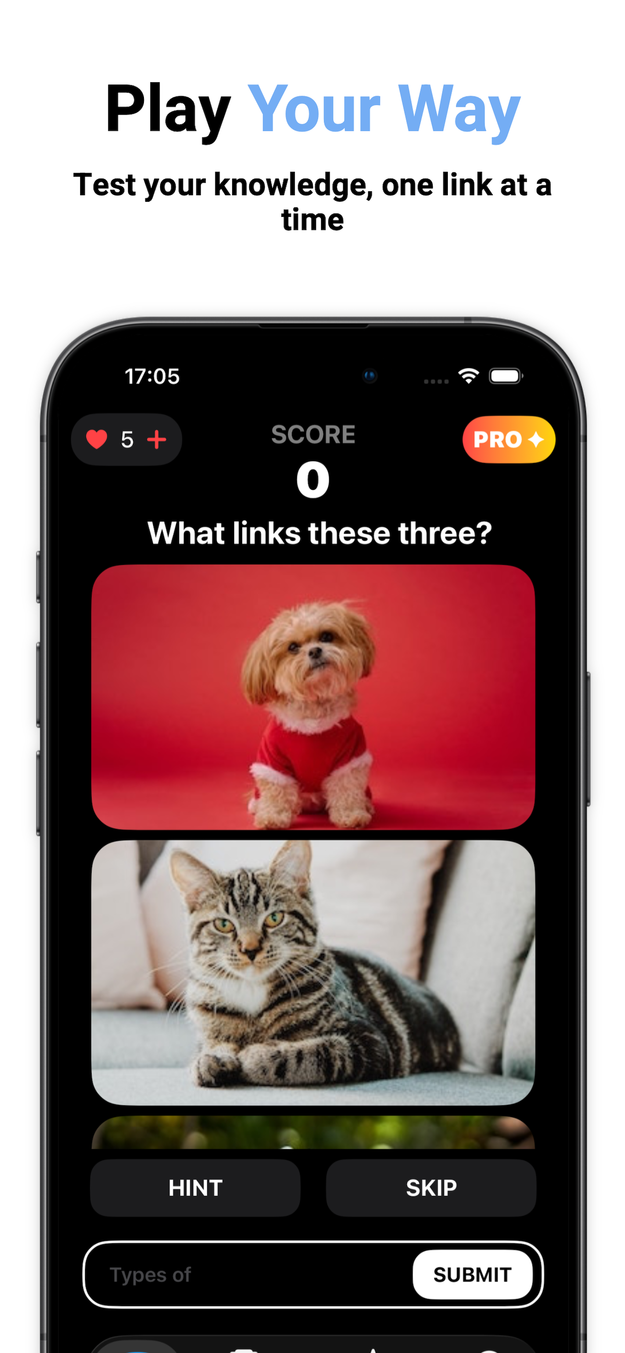 Guess The Link screenshot 3