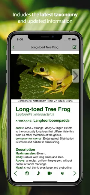 Frogs of Southern Africa LITE screenshot 2