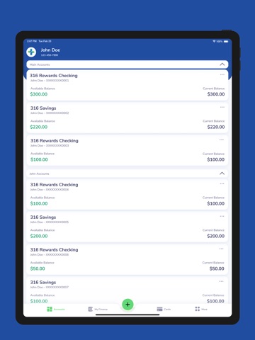 316 Financial iPad screenshot