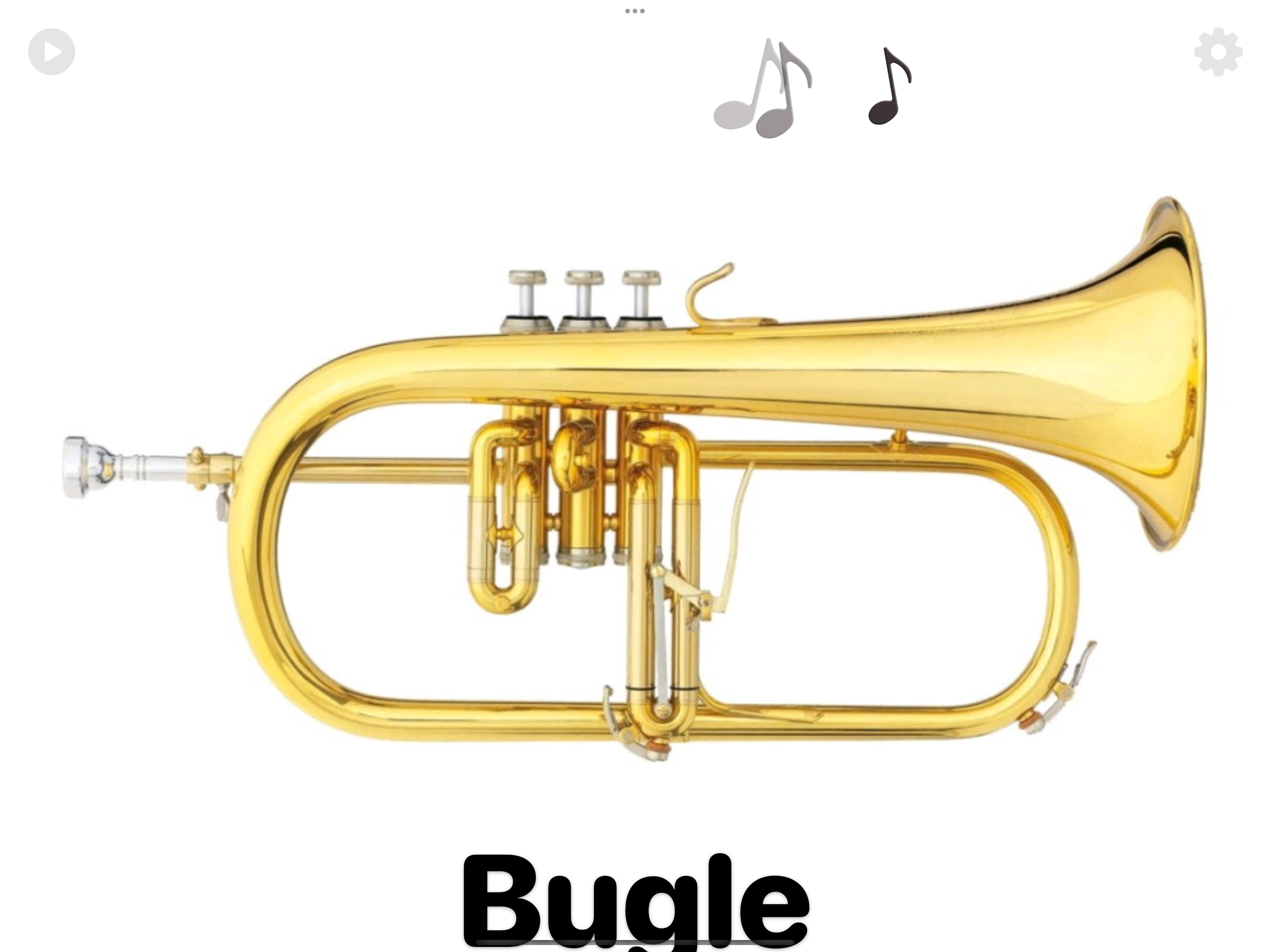 Instruments Picture Book