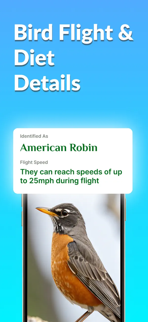 Screenshot #3 pour Bird Call Identification