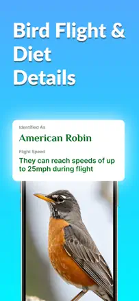 Bird Identifier, Bird Idのスクリーンショット（3/10）