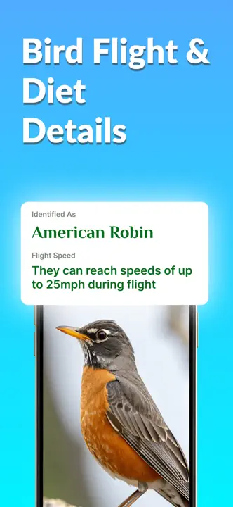Bird Identifier, Bird Id: Screenshot 3 von 10