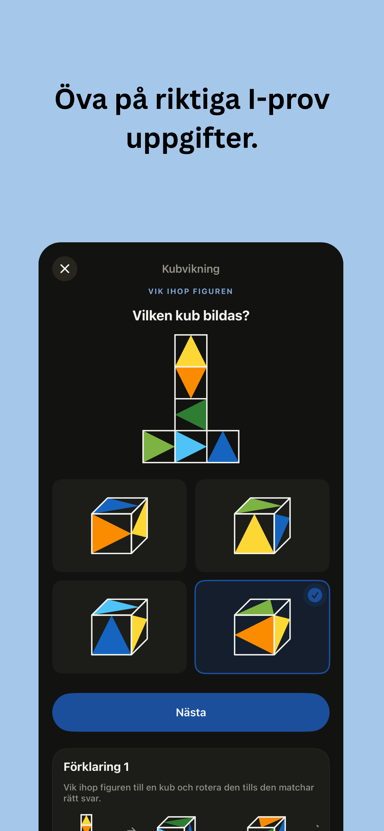 Polis- och tullappen screenshot 3