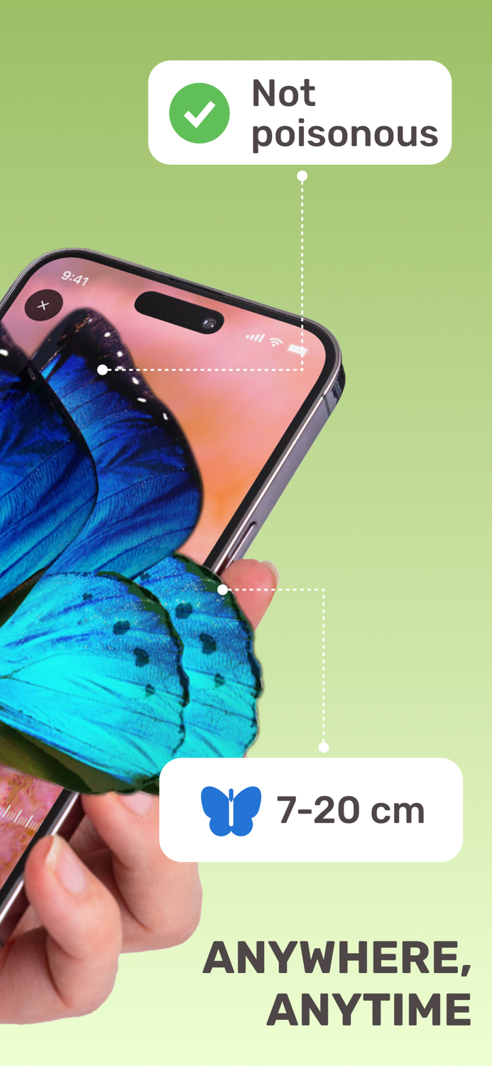 Insect Identifier Bug ID