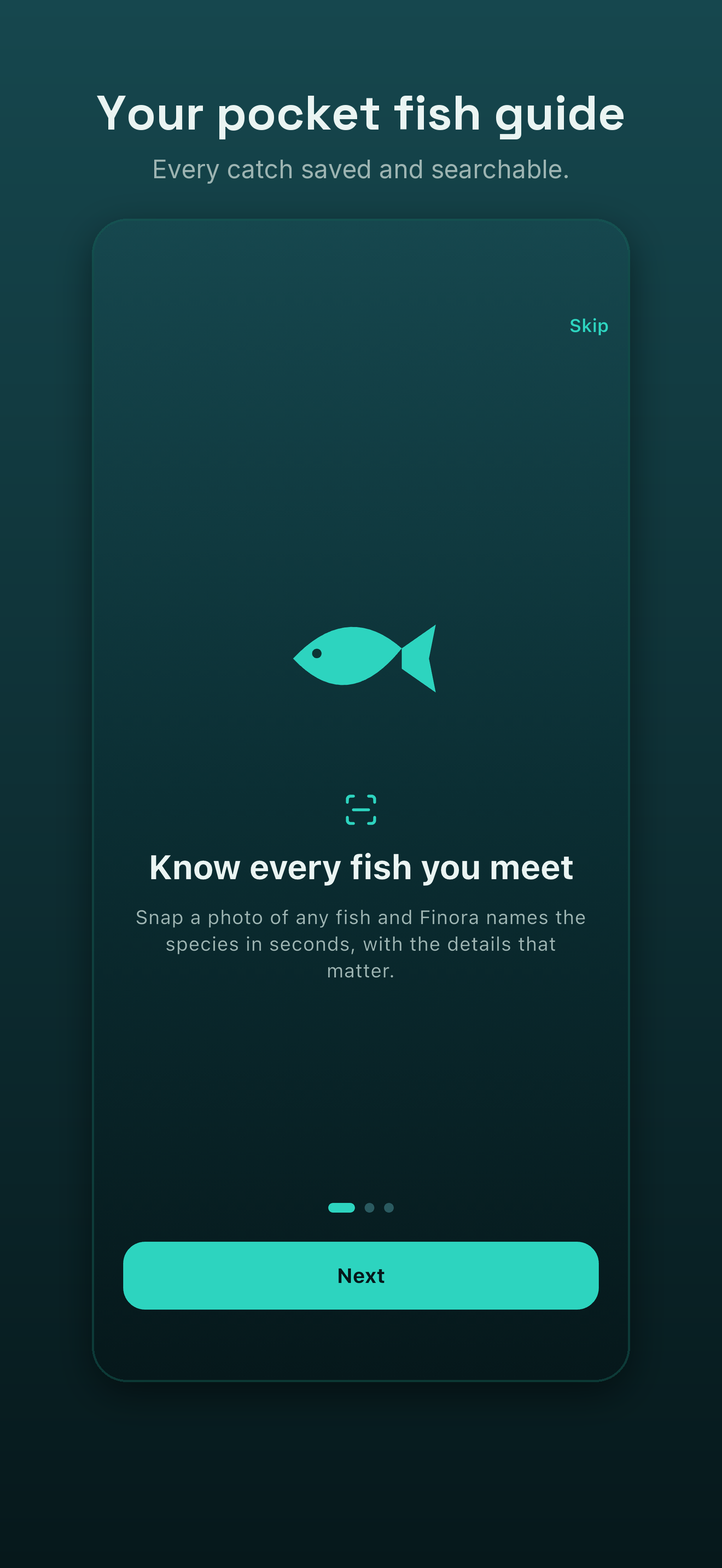 Finora: Fish Identifier screenshot 4