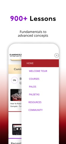 Flamenco Explained Screenshot 4 of 5