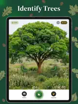 Tree Scanner 1