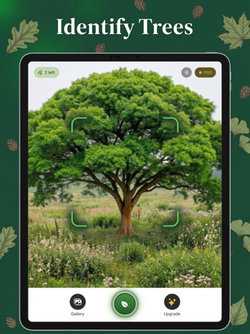 TreeID: Tree Scanner iPad screenshot