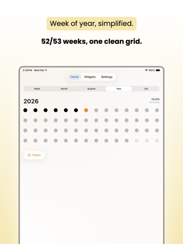 Moment Widgets: Time Progress iPad screenshot
