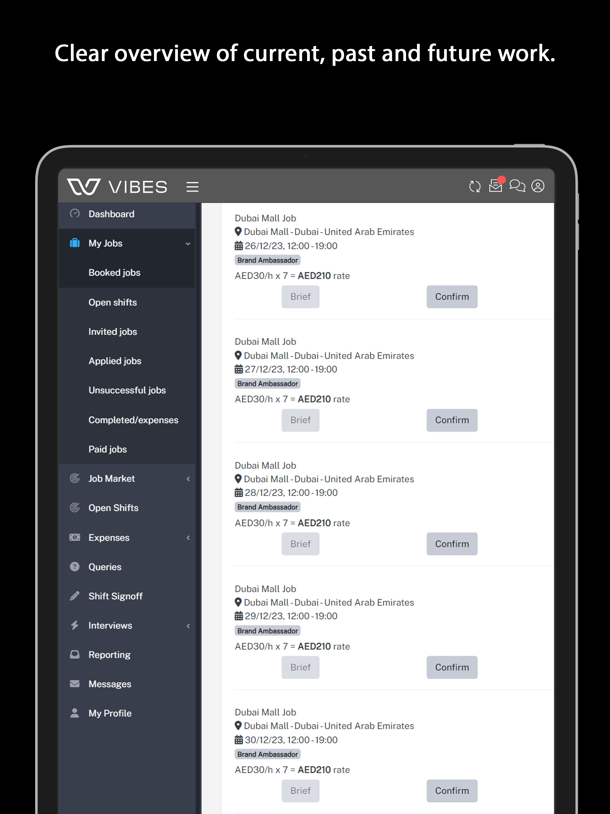 Vibes Staffing screenshot 8
