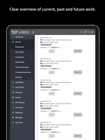 Vibes Staffing iPad screenshot 3