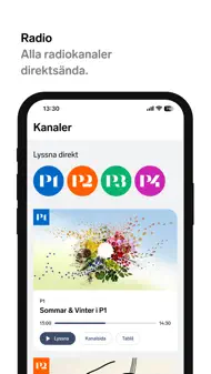 Sveriges Radio iphone bilder 3
