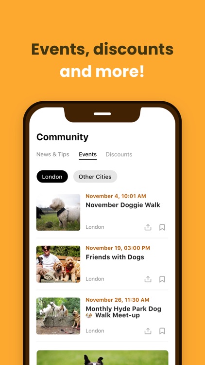 Dog City screenshot-3