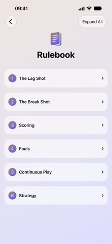 Straight Pool Sheet screenshot