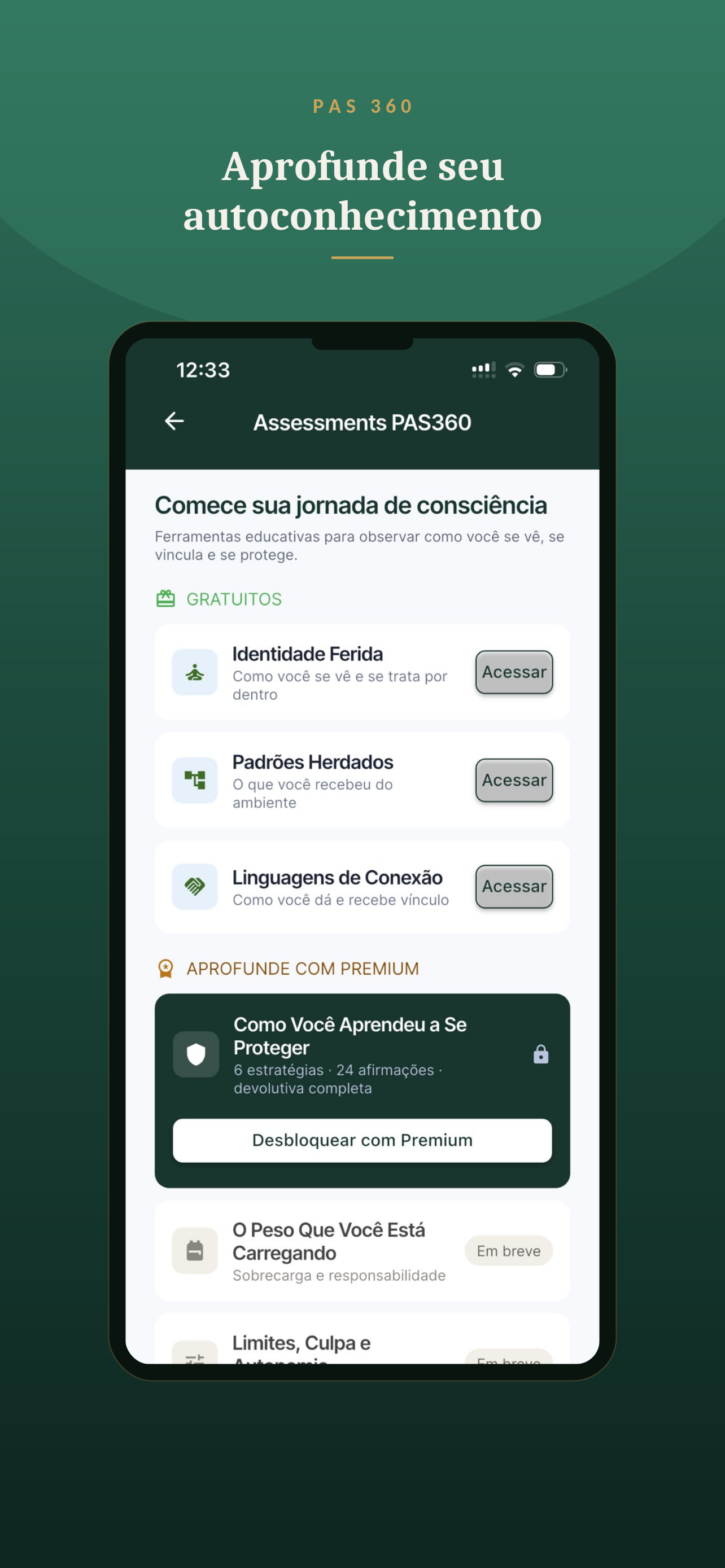 PAS360 screenshot 4
