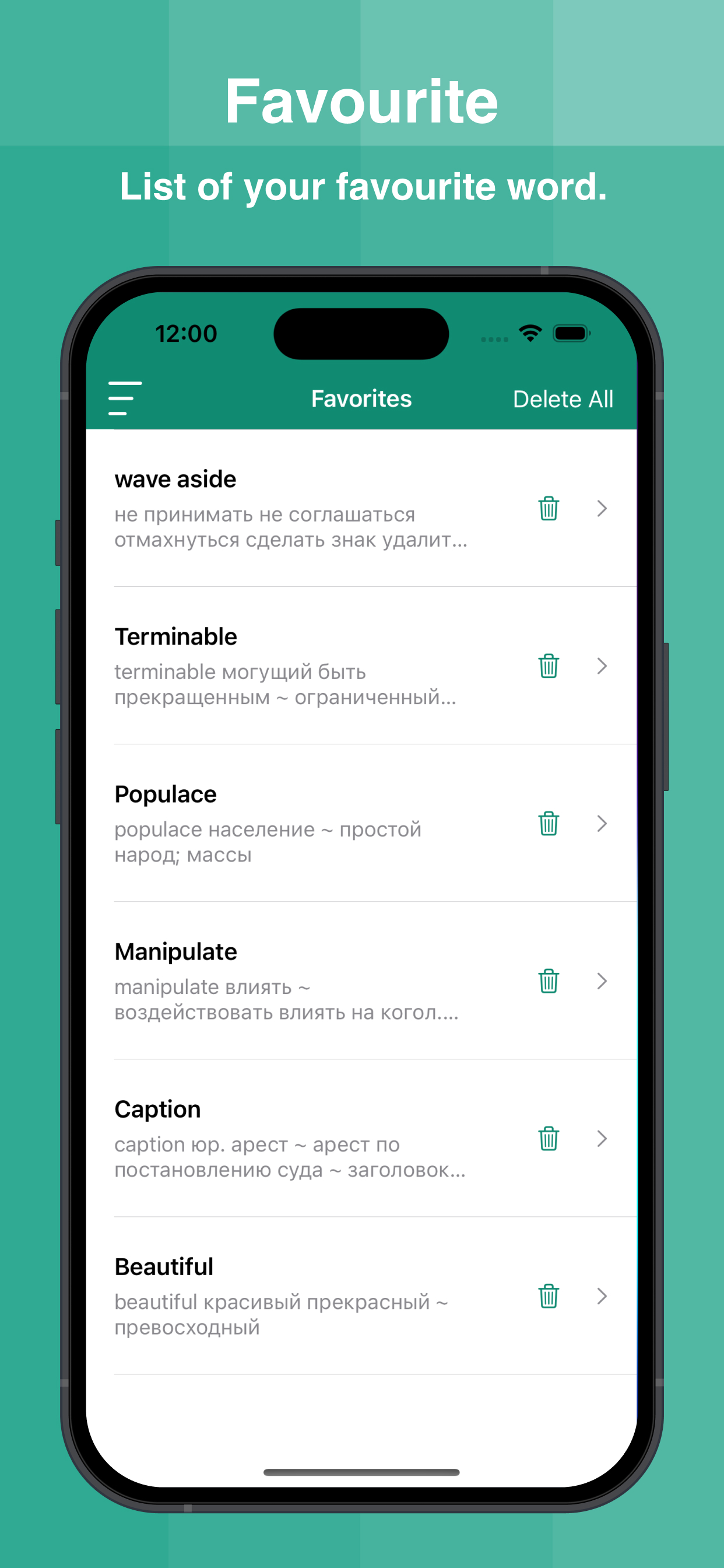 Russian Dictionary Offline screenshot 7