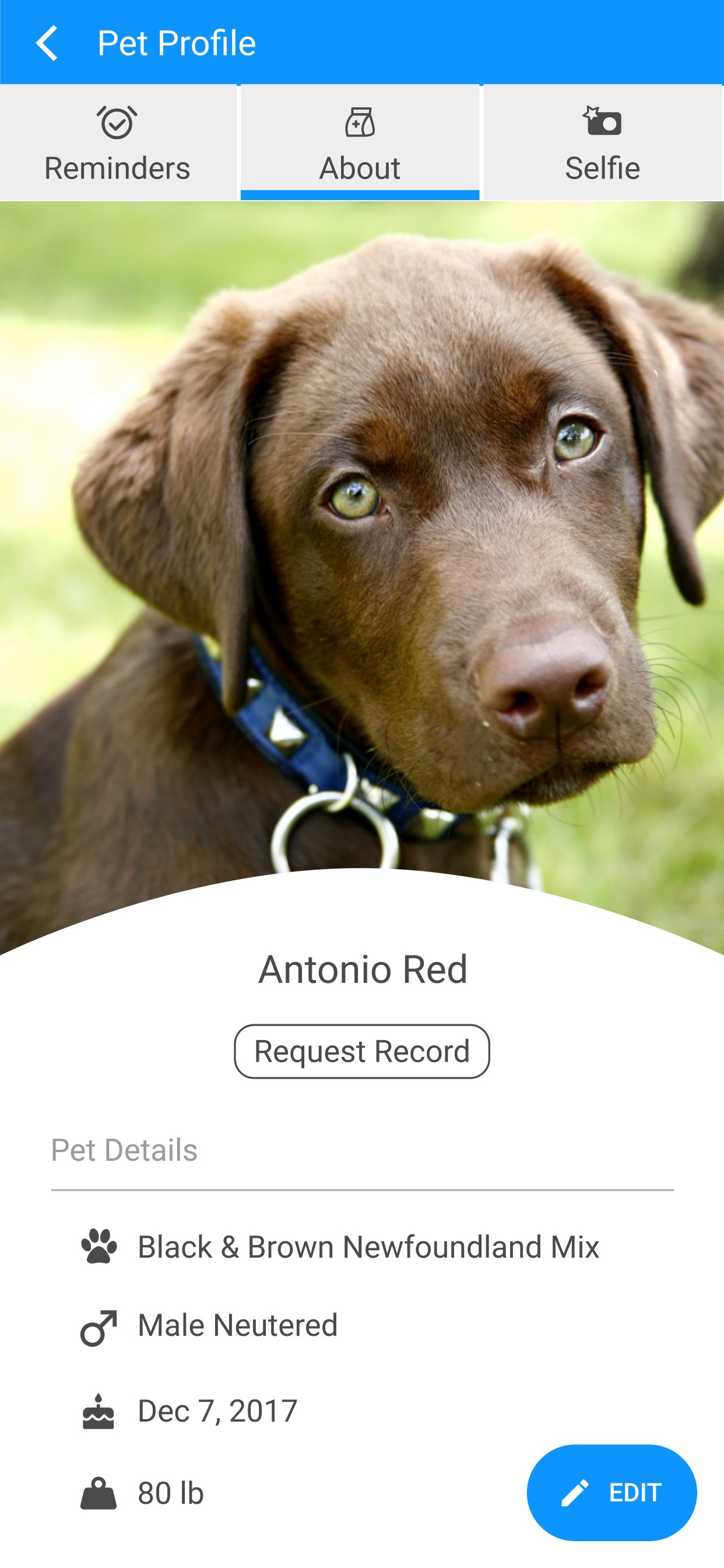 Estero Animal Hospital