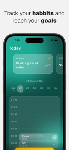 DailyFlow screenshot