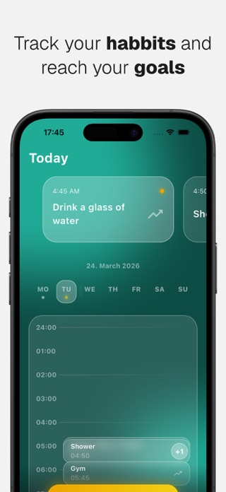 DailyFlow Screenshot 1 of 3