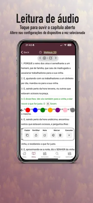Almeida Revista e Corrigida screenshot 2