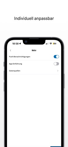Stadt Wittingen screenshot