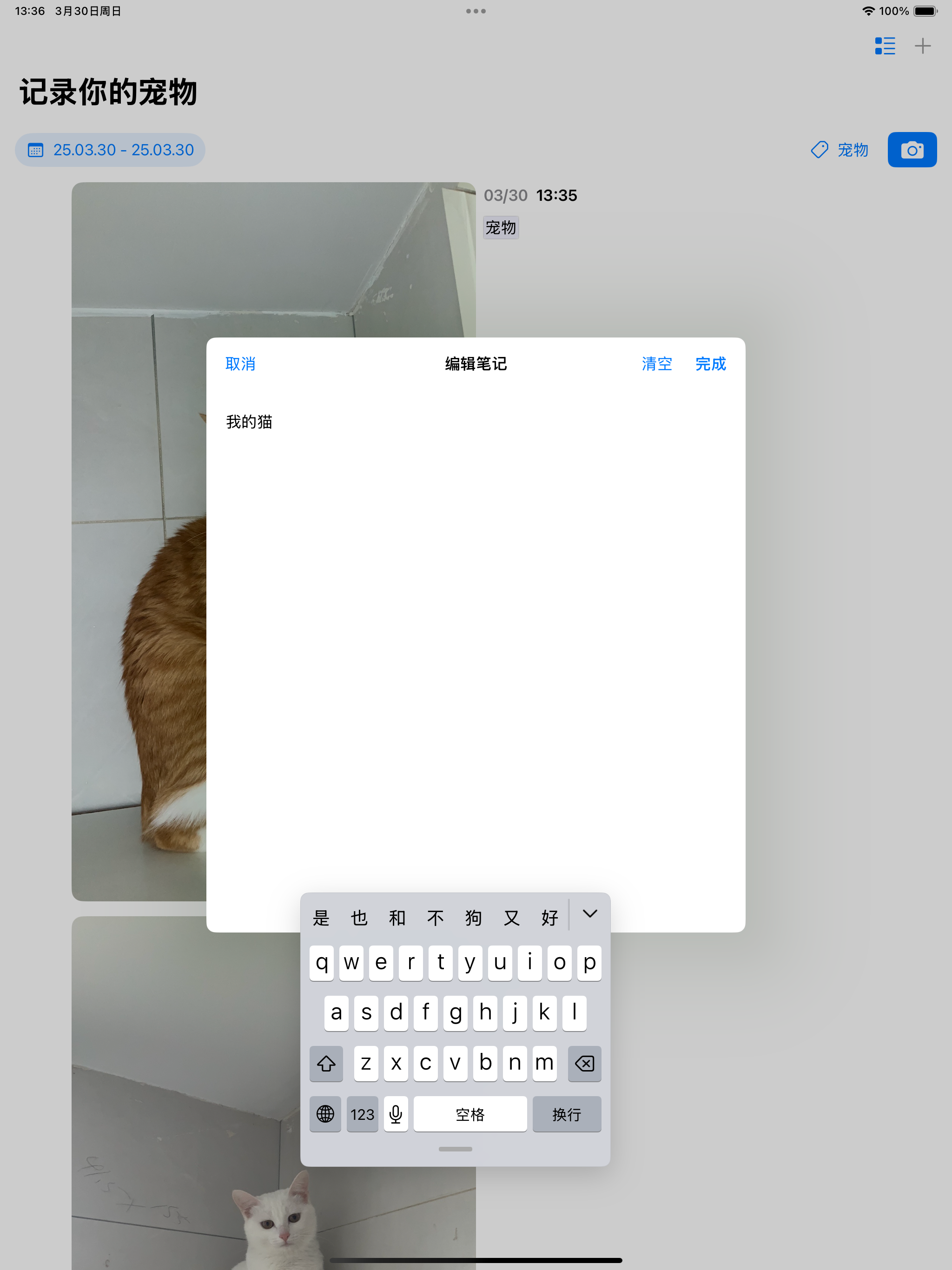 Youlog