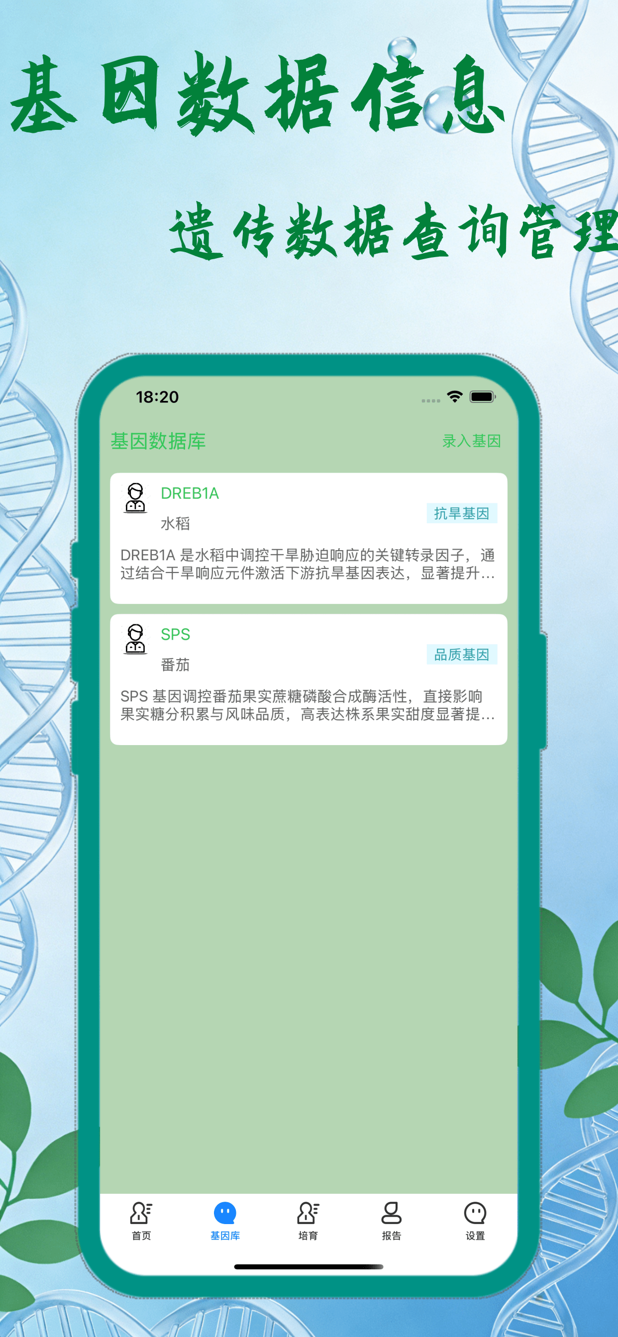 西红ּּּּ柿ּּּּּּּ1