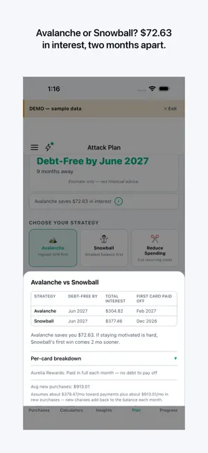 Pay Down: Credit Card Interest screenshot 4