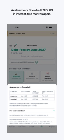 Pay Down: Credit Card Interest Screenshot 4 of 7