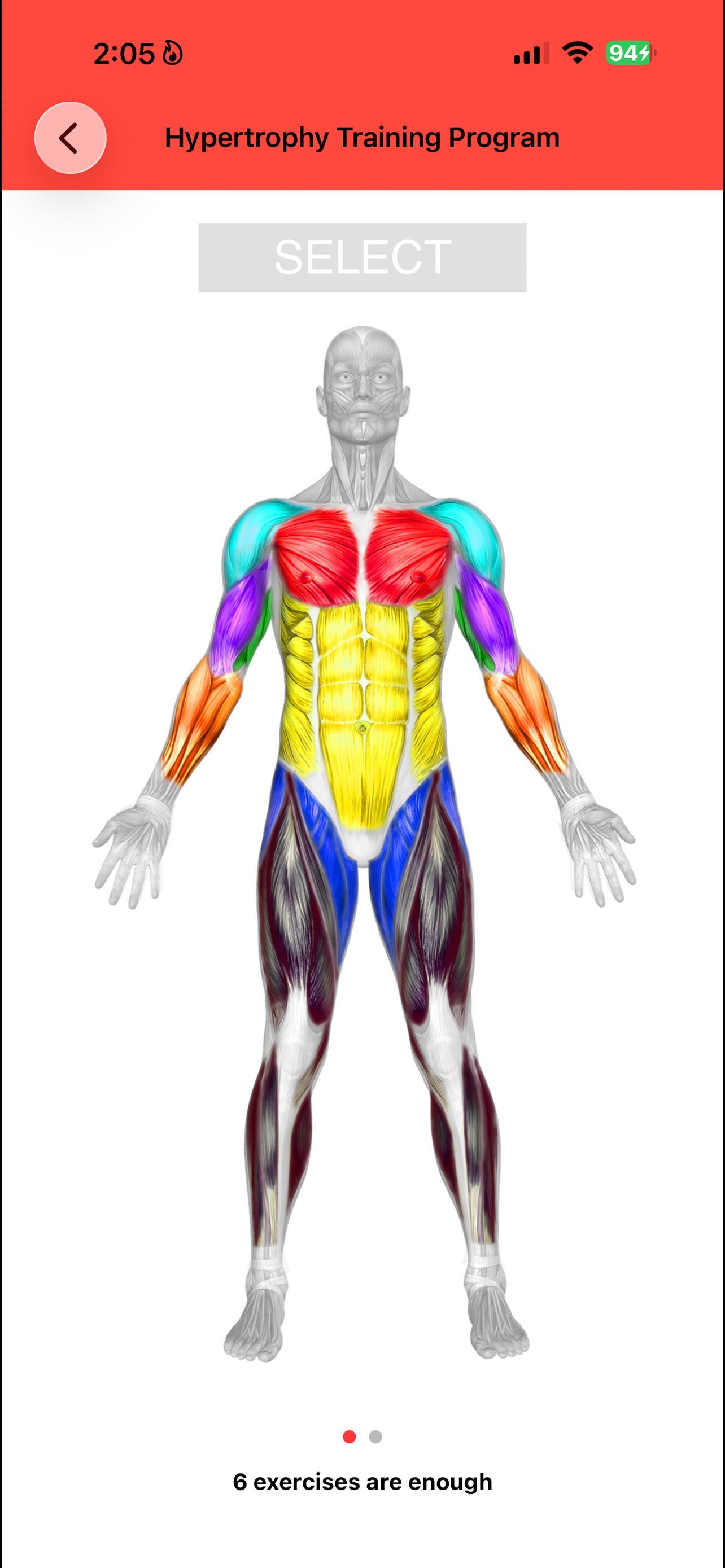 Muscle Anatomy Guide screenshot 4