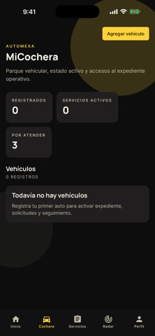 AutoMexa screenshot 2