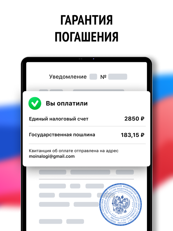 Мои налоги: личный кабинет iPad screenshot 5 - Finance app