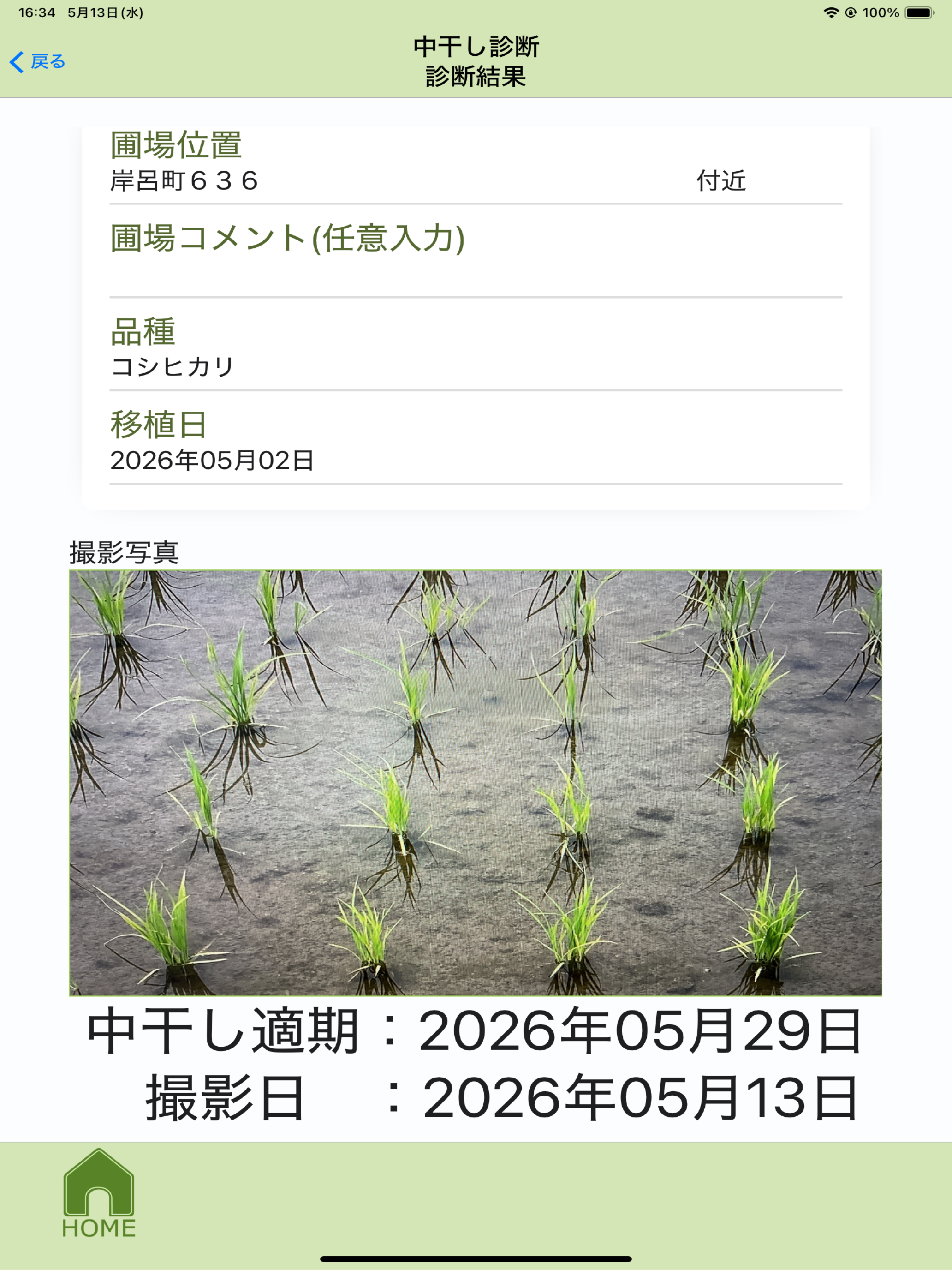 水稲生育診断　稲作先生