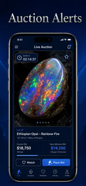 RockIn: Gem & Rock Identifier screenshot 8