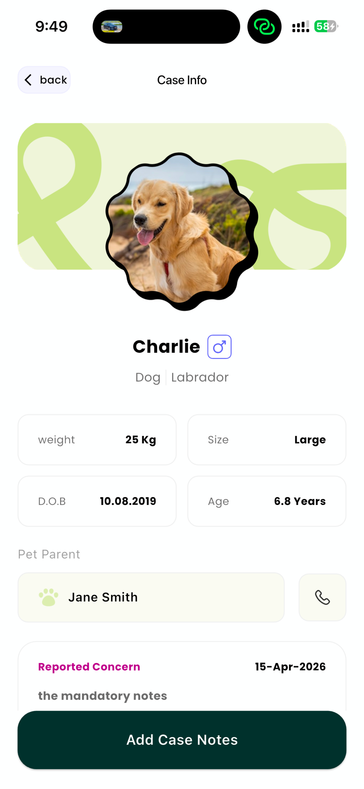 Calico Plus screenshot 6