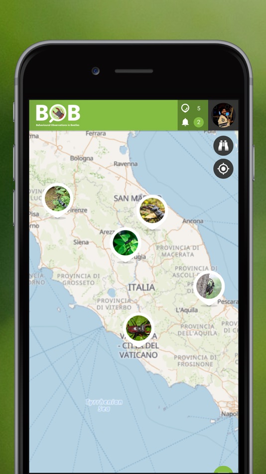 #1. BOBeetles (iOS) 由: SPOTTERON Gmbh