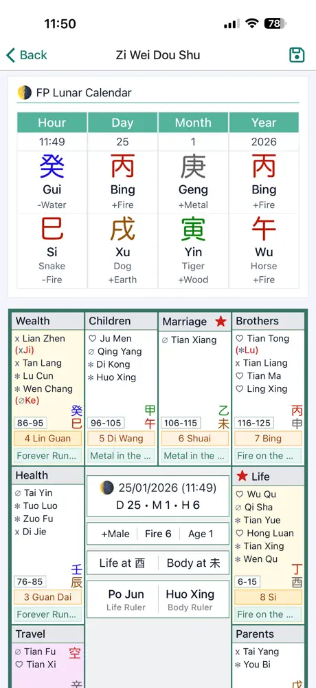 Zi Wei Dou Shu Astrology screenshot 3
